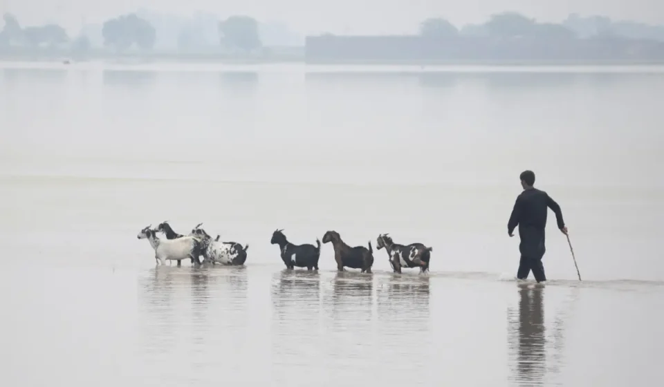 22 revenue estates in Punjab's Multan district partially submerged under floodwaters
