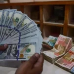 ‘Managed’ exchange rate hurts exports, investments