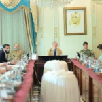 PM Shehbaz briefed on digitisation of consular services for overseas Pakistanis: PMO