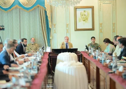 PM Shehbaz briefed on digitisation of consular services for overseas Pakistanis: PMO