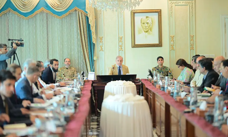 PM Shehbaz briefed on digitisation of consular services for overseas Pakistanis: PMO