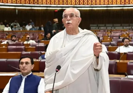 ECP refuses to recognise Achakzai as PkMAP chief over failure to hold intra-party polls