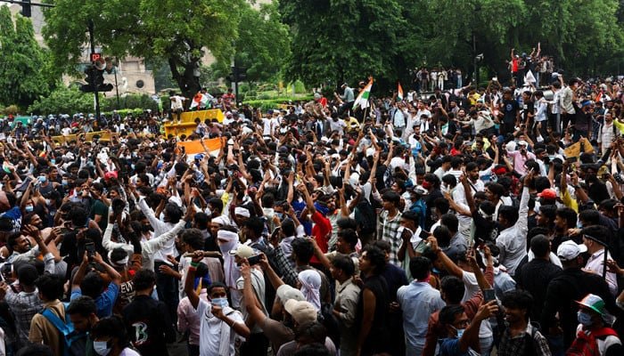 India activists demand release of detained 'cockroach' protesters