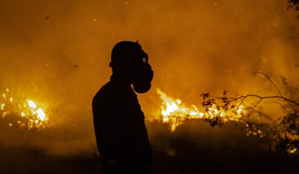 Powerful El Nino to intensify heat on ‘a planet already on fire’: UN