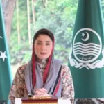 Is Maryam bridging gap between PML-N legislators and admin?