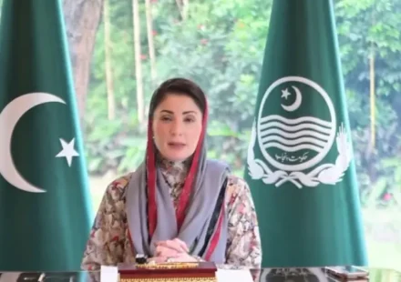 Is Maryam bridging gap between PML-N legislators and admin?